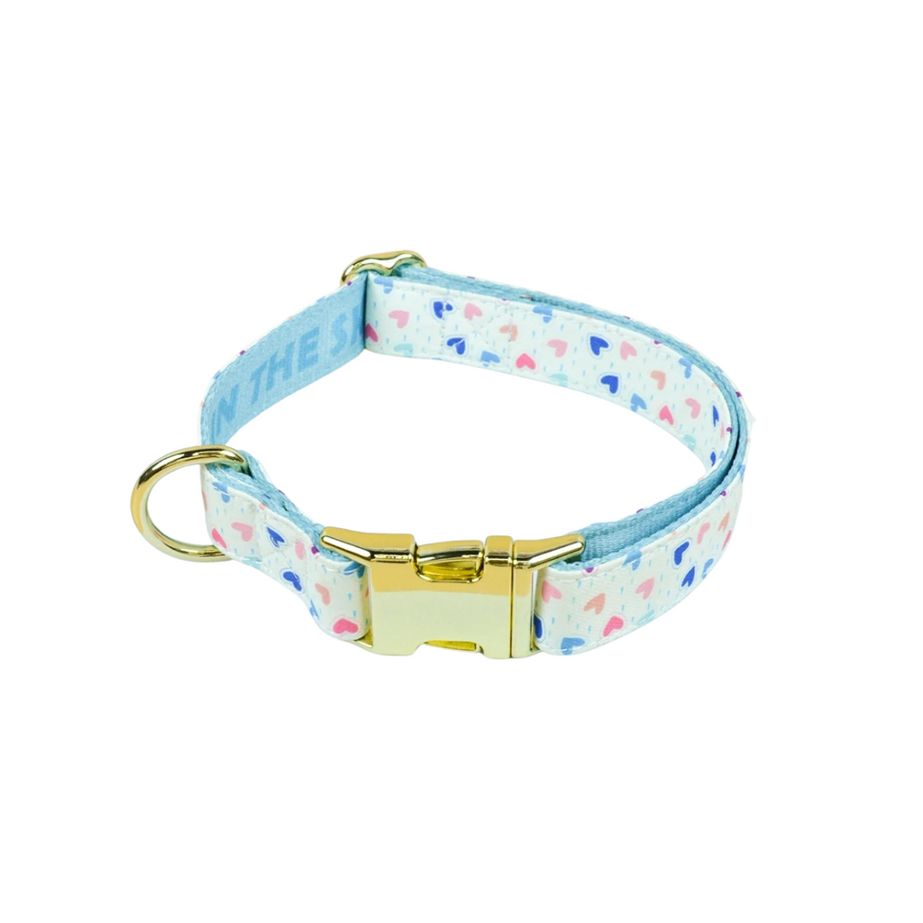 Collier chien bleu clair avec motifs cœurs et boucle dorée, compatible laisse.