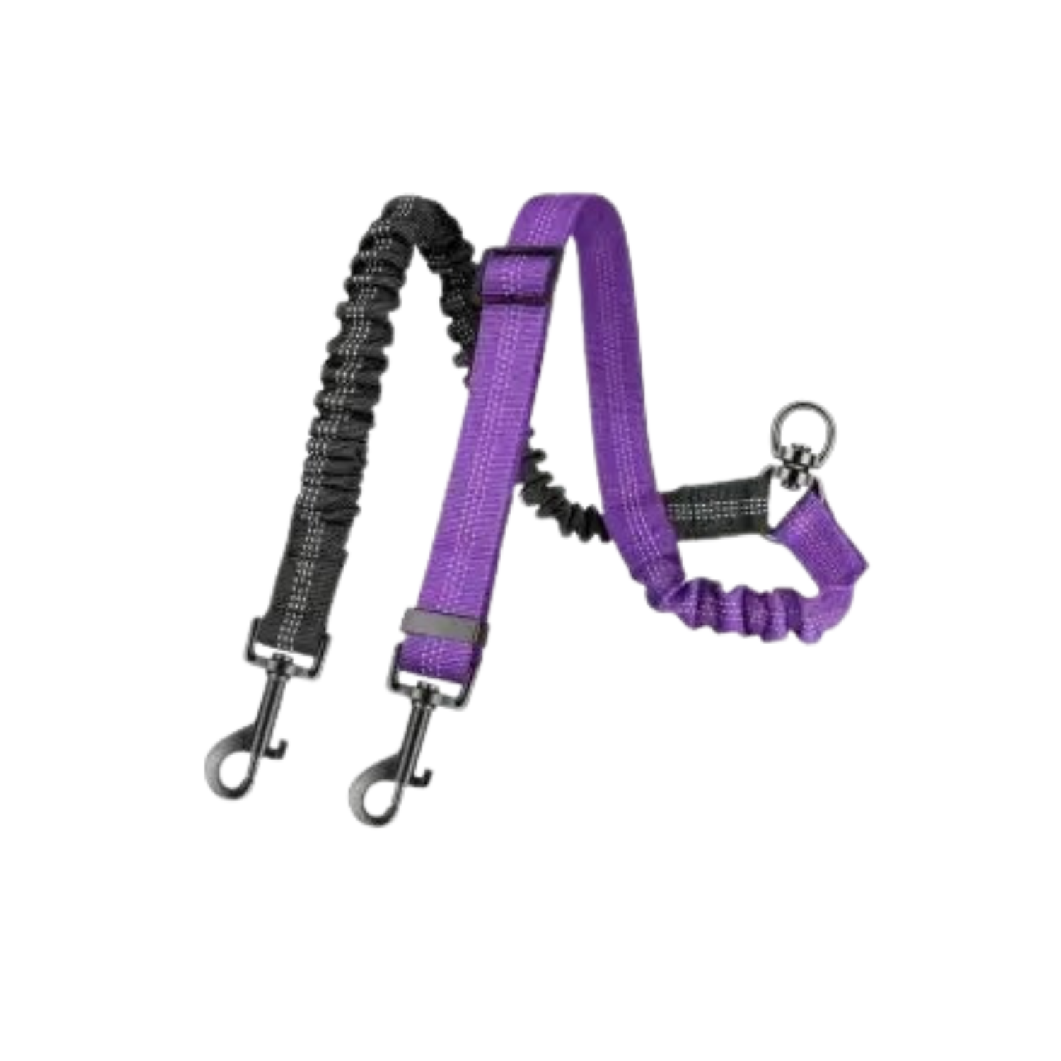 Laisse double élastique violette avec mousquetons pour collier chien.