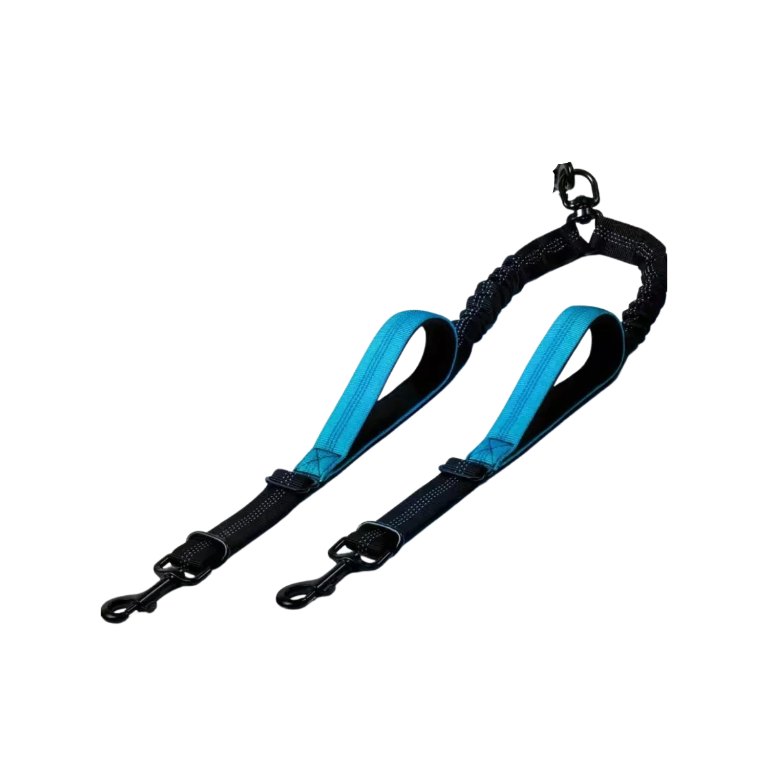 Laisse double bleu avec poignées confort pour chien, attaches solides pour collier.