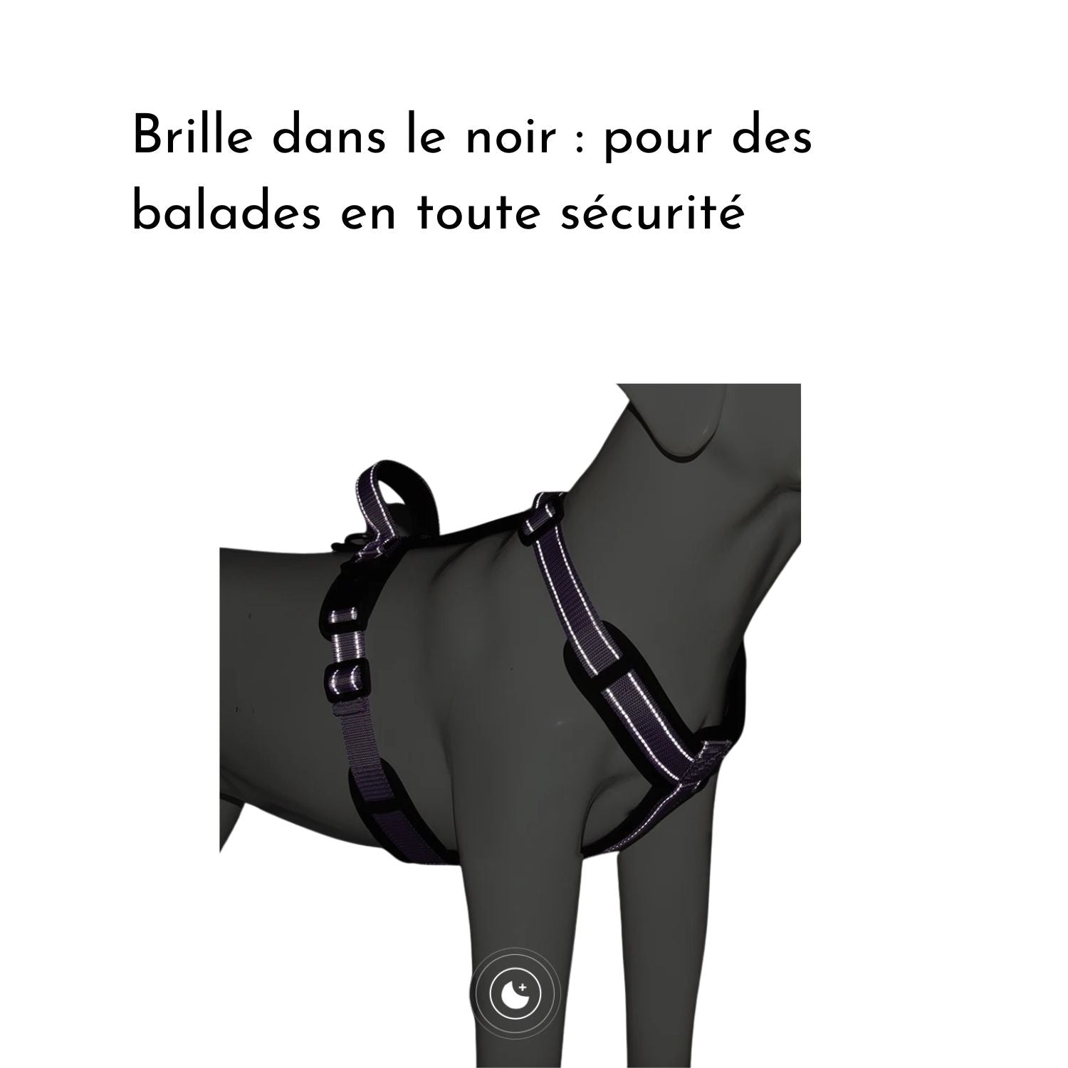 Harnais chien anti-traction - Rouge