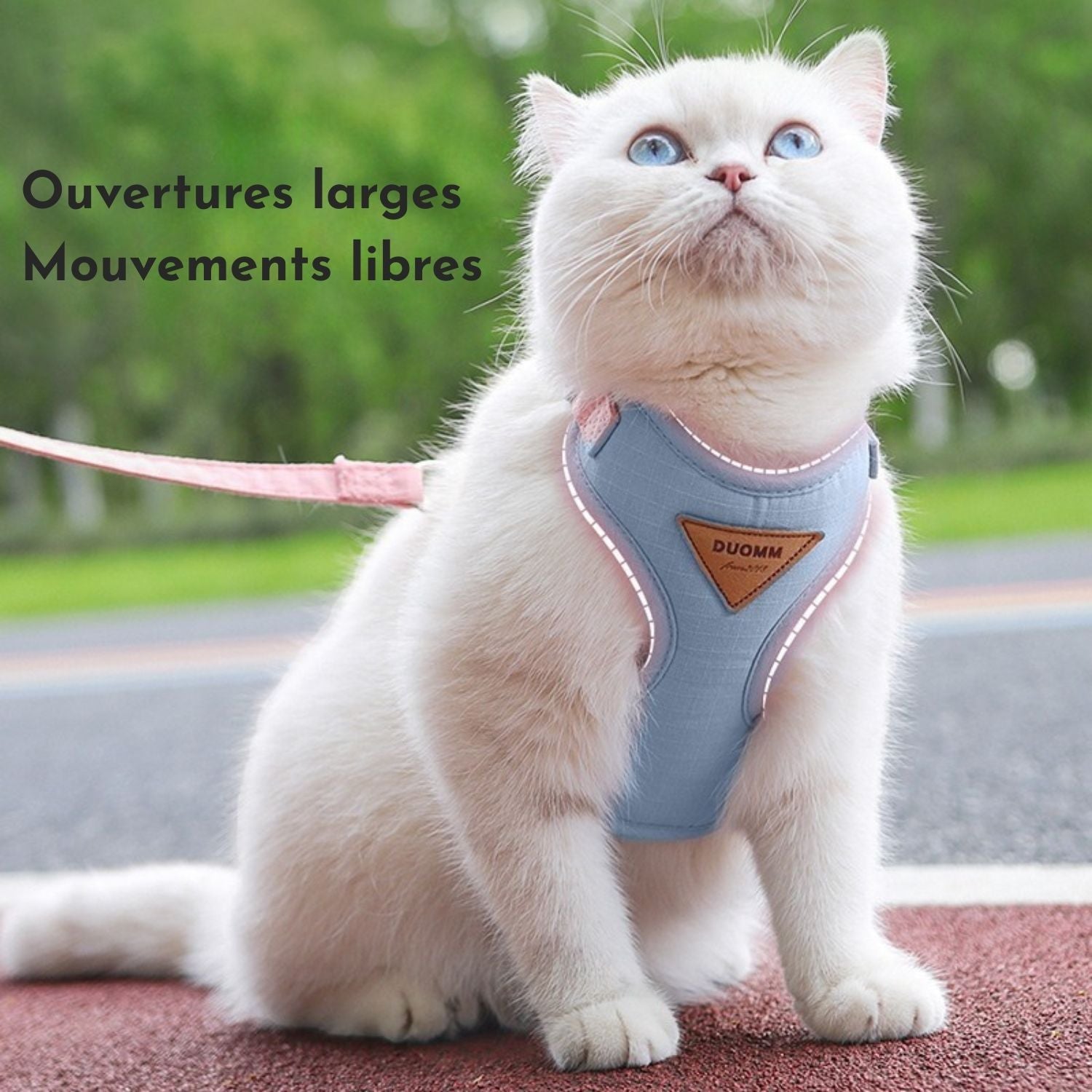 Harnais chien - ensemble Thisia