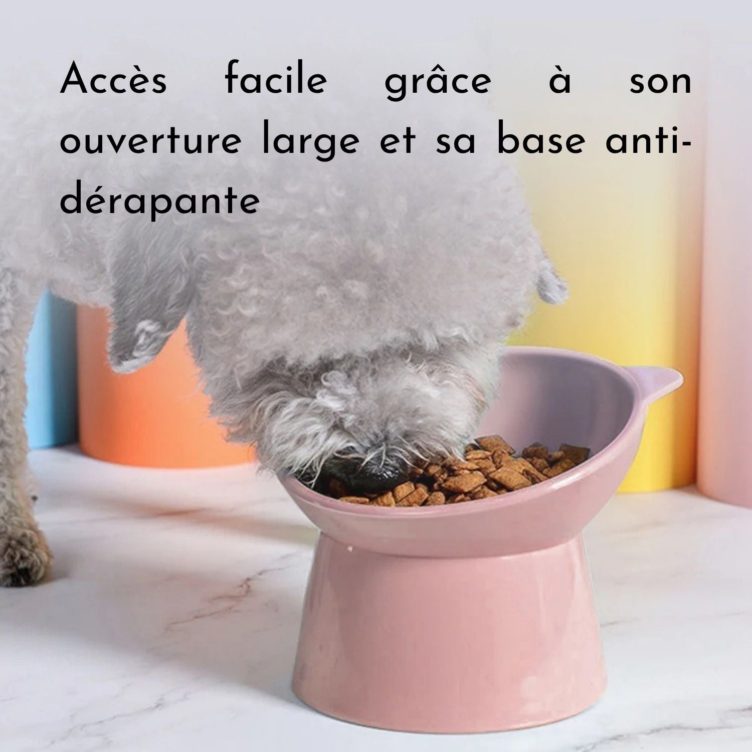 Gamelles chat surélevées - Trio