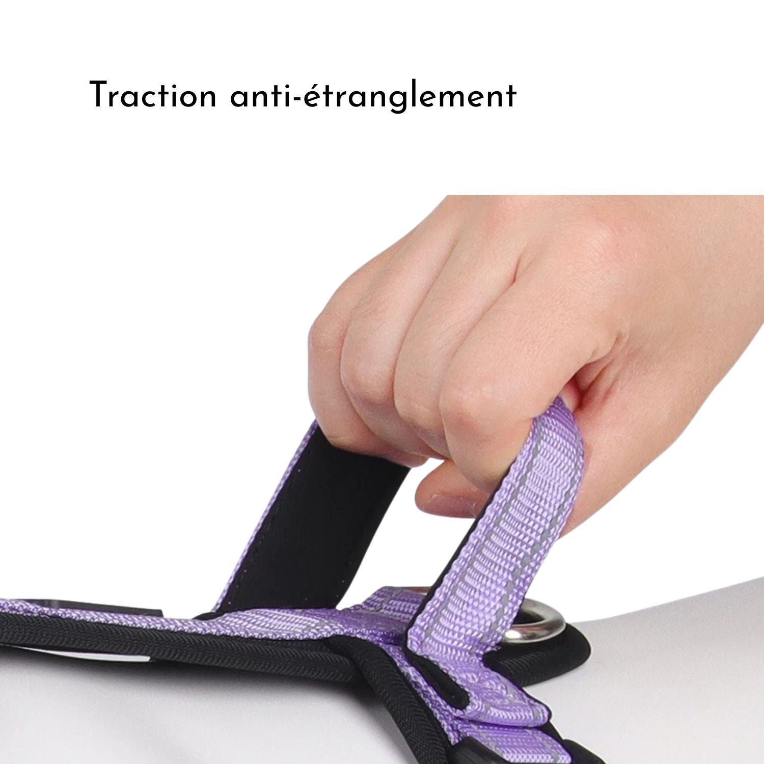 Harnais chien anti-traction - Émeraude