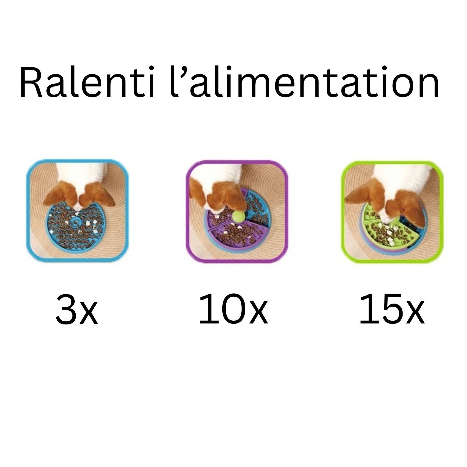 Gamelle anti-glouton - Triplex