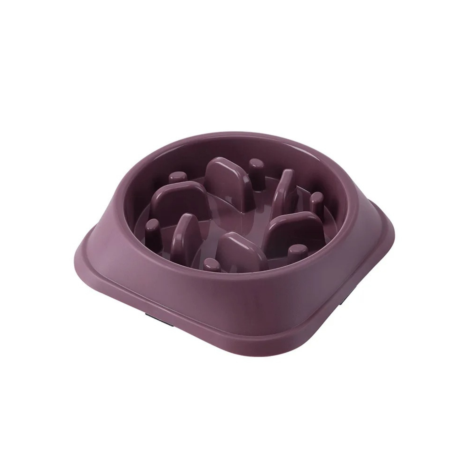 Gamelle anti-glouton violette en plastique pour chien avec collier et laisse compatibles.