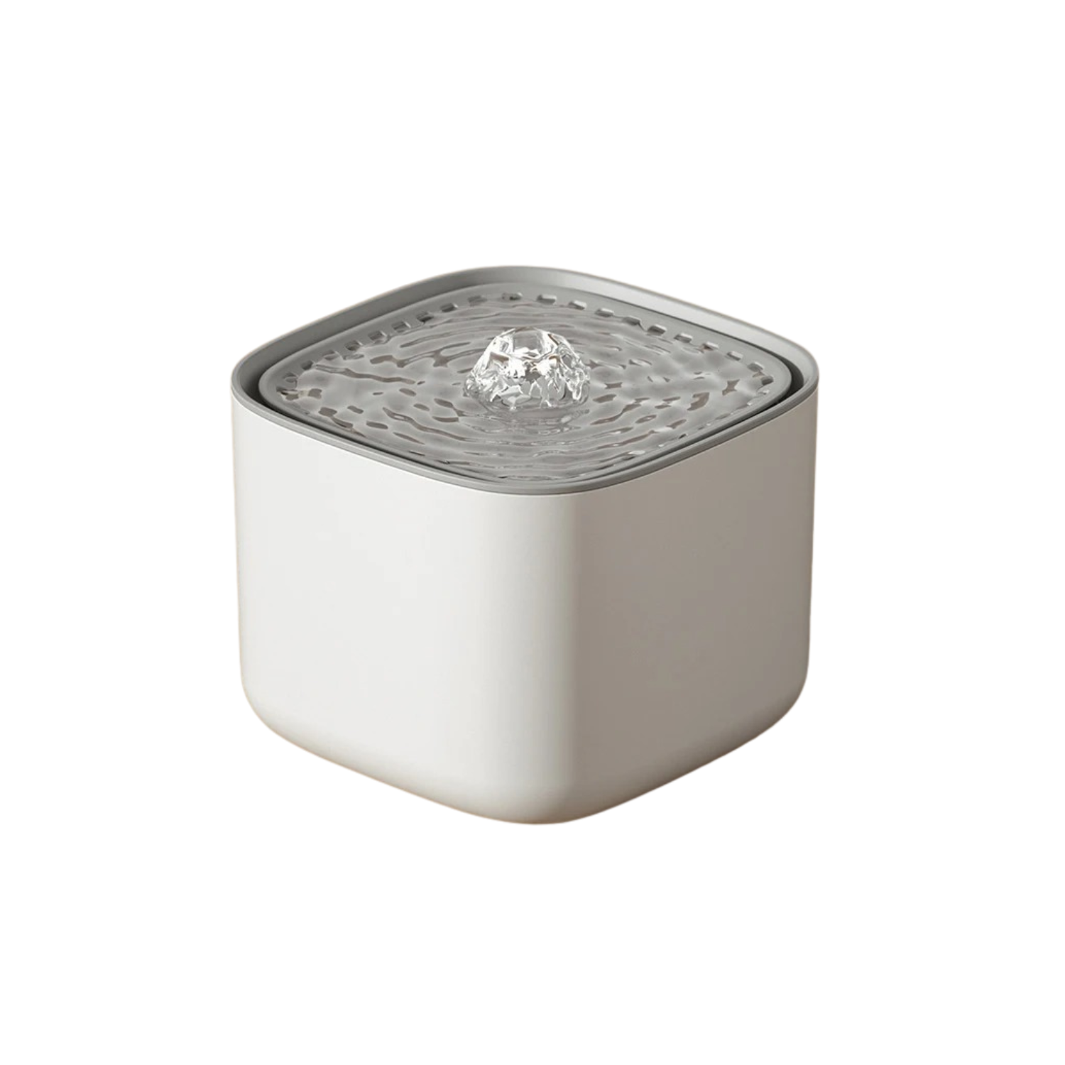 Fontaine à eau carrée blanche pour chien, compatible avec gamelle, collier et laisse.