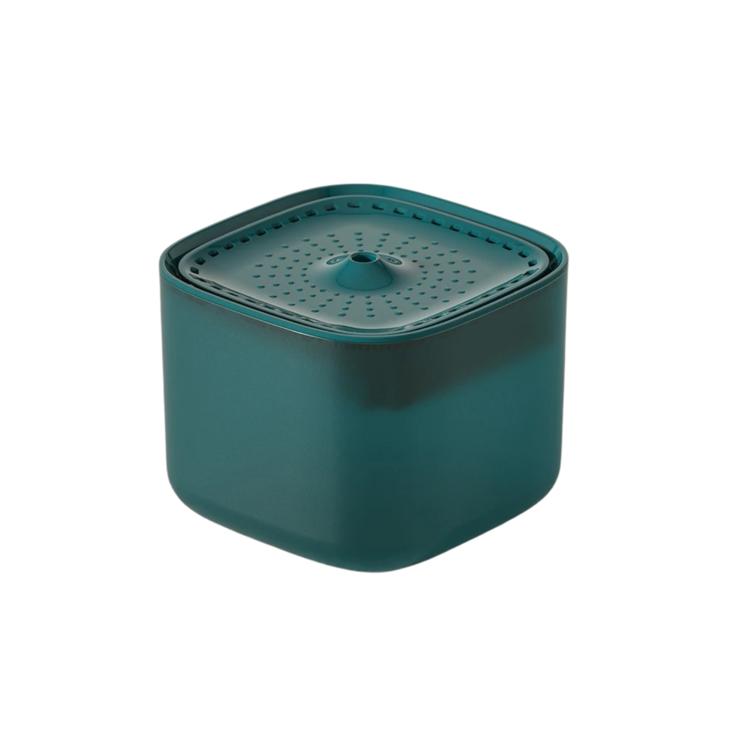 Fontaine à eau verte carrée pour chien avec gamelle intégrée, collier et laisse assortis.