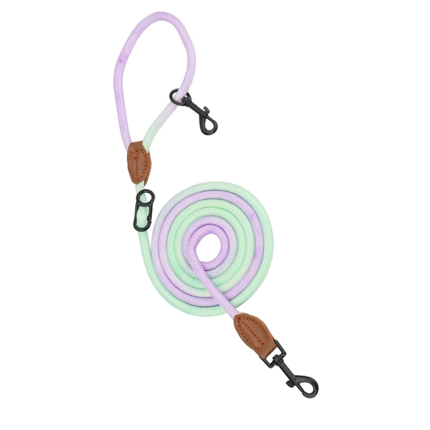 Laisse double dégradé lavande et vert pastel avec attaches noires pour chien.