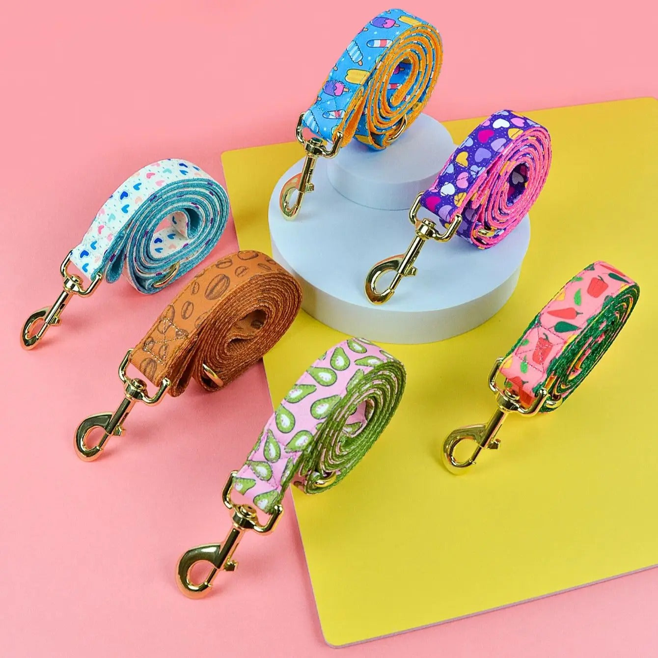 Six laisses cordes colorées pour chien avec motifs variés, attaches en métal doré.