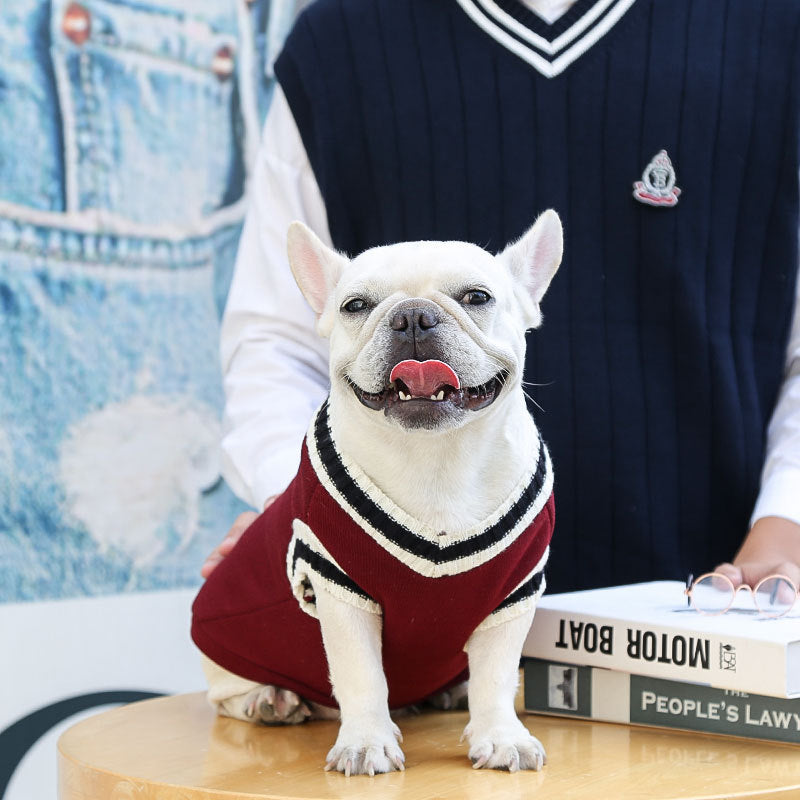 Pull pour chien Redwine - Brayton