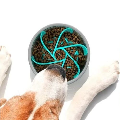 Accessoire anti-glouton bleu 2