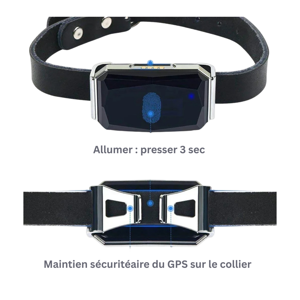 Collier GPS noir avec dispositif digital pour chien, maintien sécurisé visible.