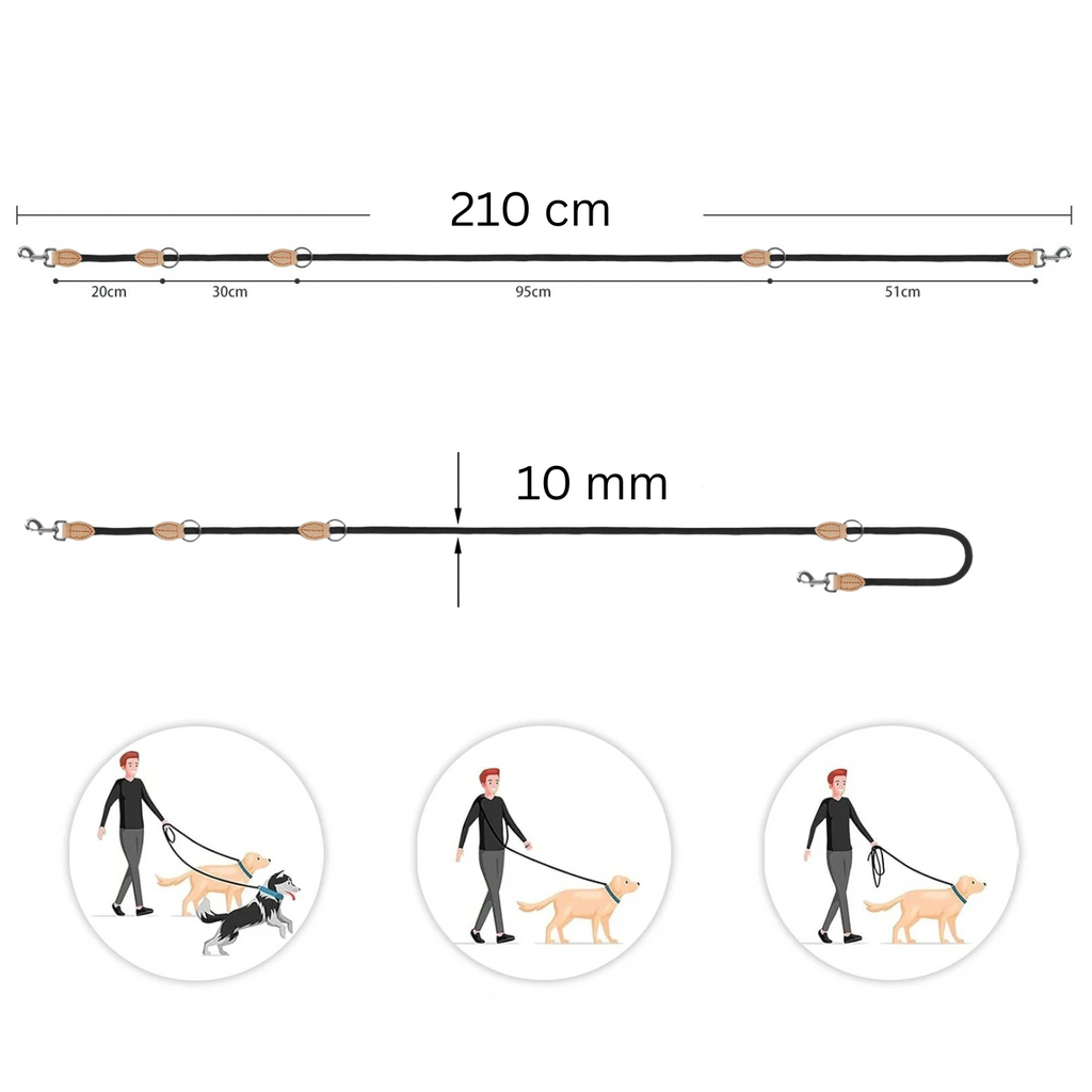 Laisse noire fine pour chien 210 cm avec collier et attache, résistant et polyvalent.