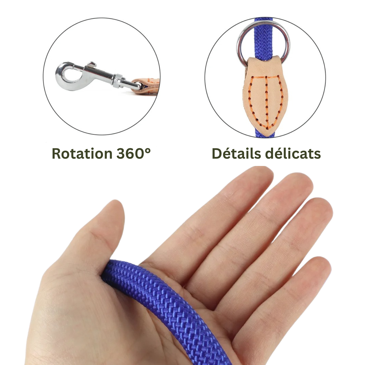 Laisse bleue avec collier et détails en cuir pour chien, attache 360° rotative.