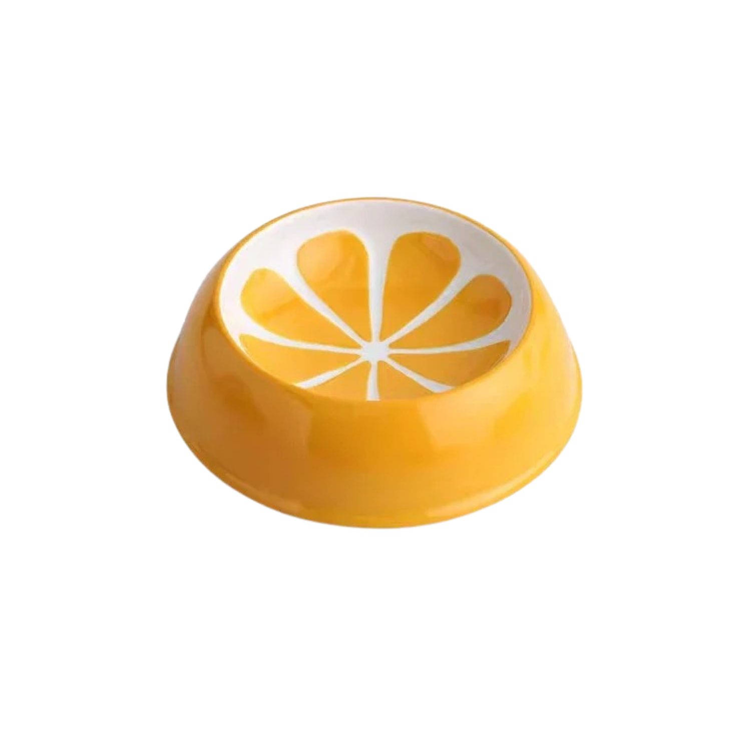 Gamelle en céramique orange avec motif agrume, assortie à laisse et collier pour chien.