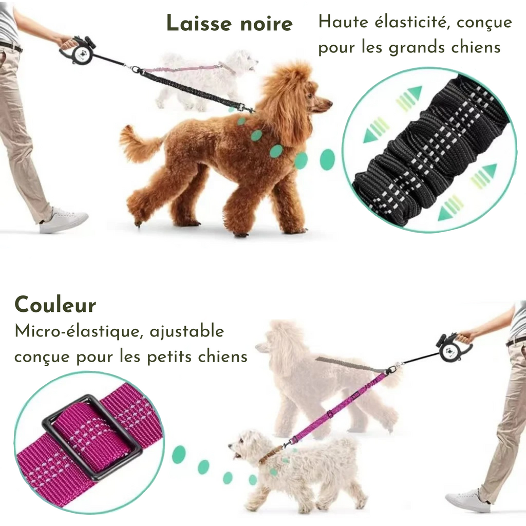 Laisse noire élastique pour grand chien avec collier assorti, laisse rose micro-élastique ajustable pour petit chien.