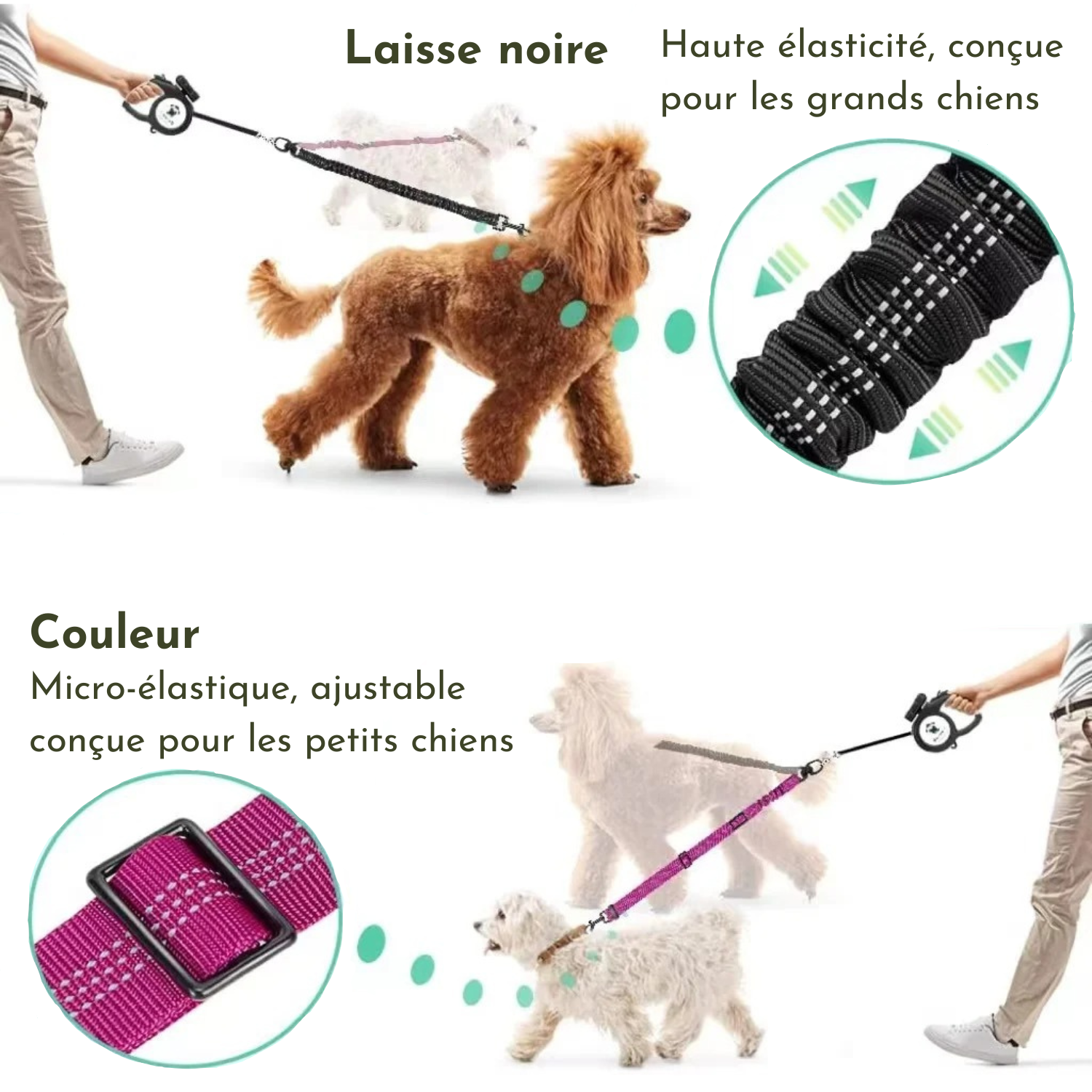 Laisse noire élastique pour grand chien avec collier assorti, laisse rose micro-élastique ajustable pour petit chien.
