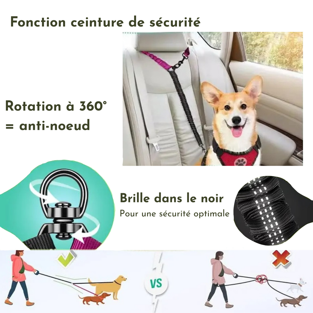 Laisse double rose avec collier pour chien attaché en voiture, sécurité 360° anti-noeud, matériaux réfléchissants.