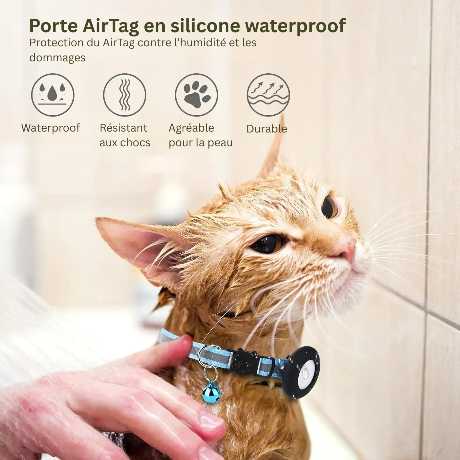 Chat roux portant un collier noir avec porte AirTag réfléchissant et clochette bleue.