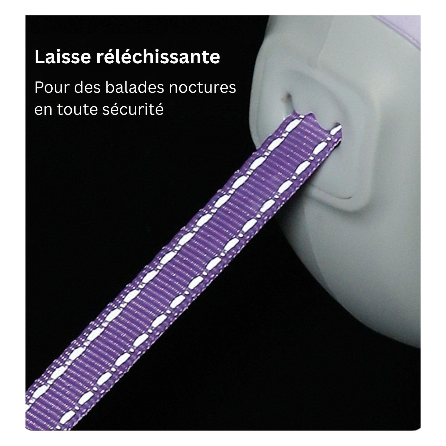 Laisse réreflectissante fuchsia avec marquage réfléchissant pour chien.