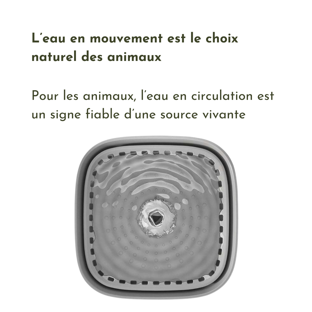 Fontaine à eau gris quadratus avec motifs ondulés, idéale pour gamelle de chien avec collier et laisse.