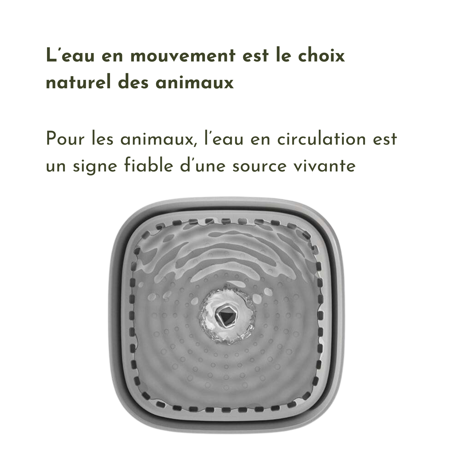Fontaine à eau gris quadratus avec motifs ondulés, idéale pour gamelle de chien avec collier et laisse.