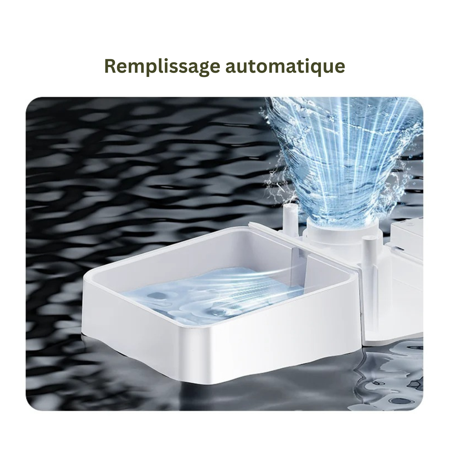 Fontaine blanche avec distributeur automatique d'eau et gamelle pour chien avec collier et laisse visibles.