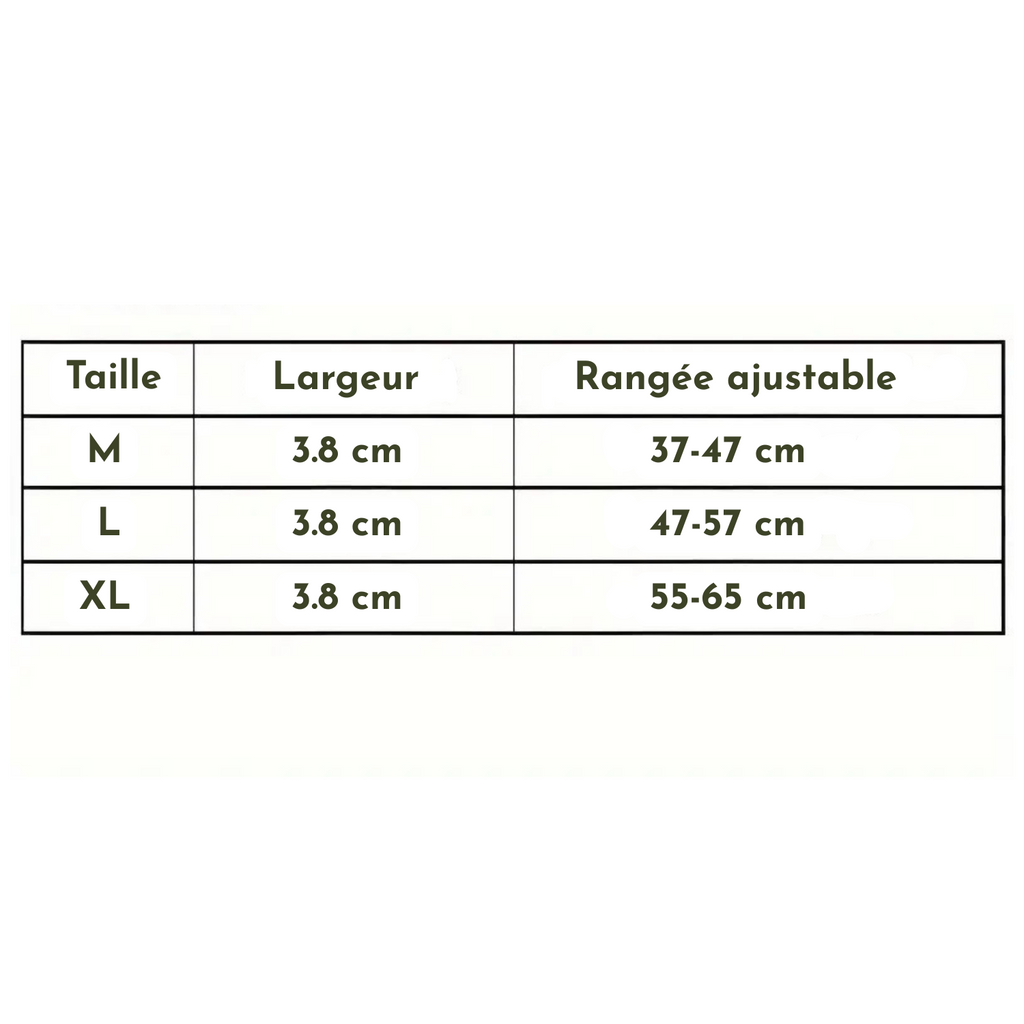 Tableau des tailles pour collier chien camouflage avec largeur 3,8 cm et longueurs ajustables M, L, XL.