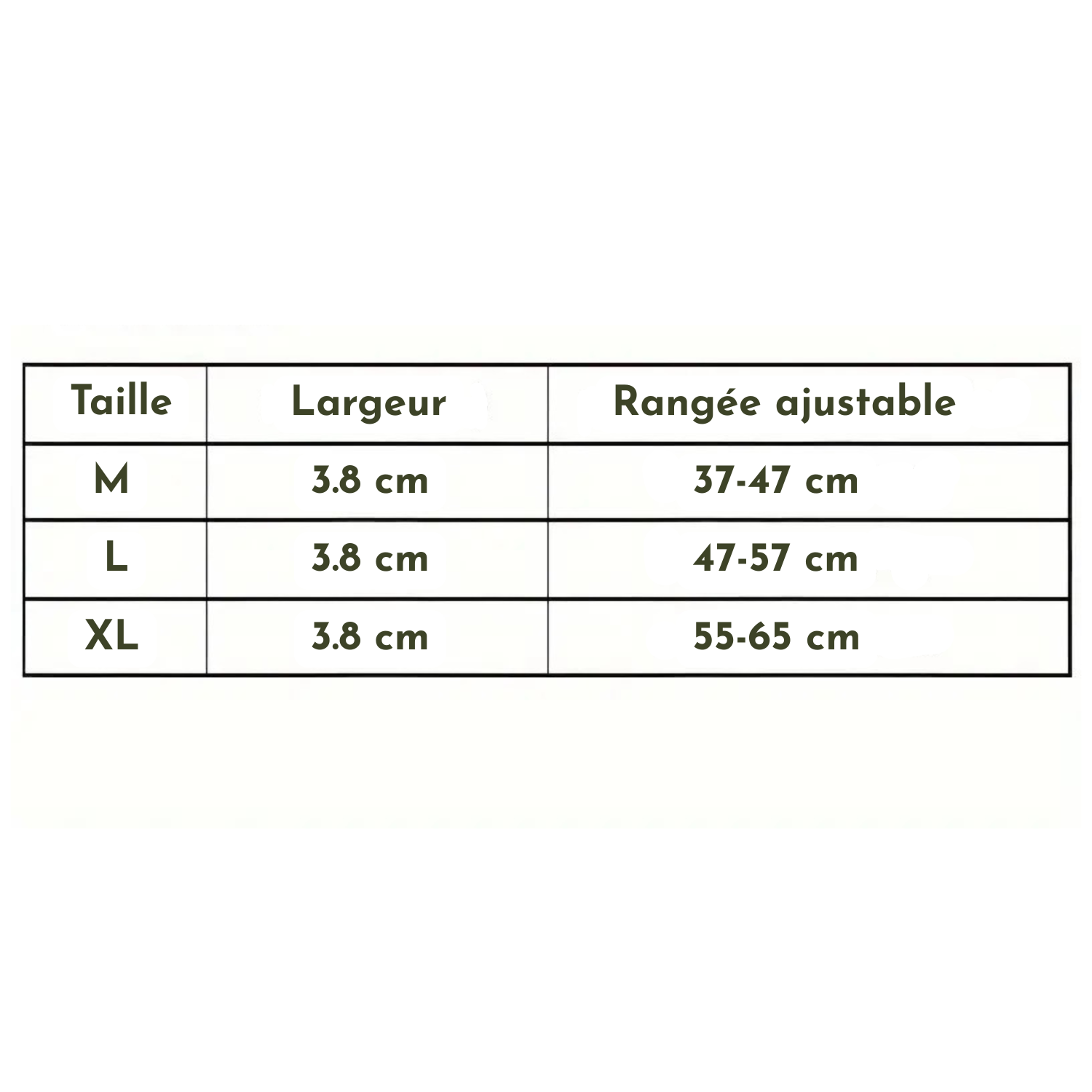 Tableau des tailles pour collier chien camouflage avec largeur 3,8 cm et longueurs ajustables M, L, XL.