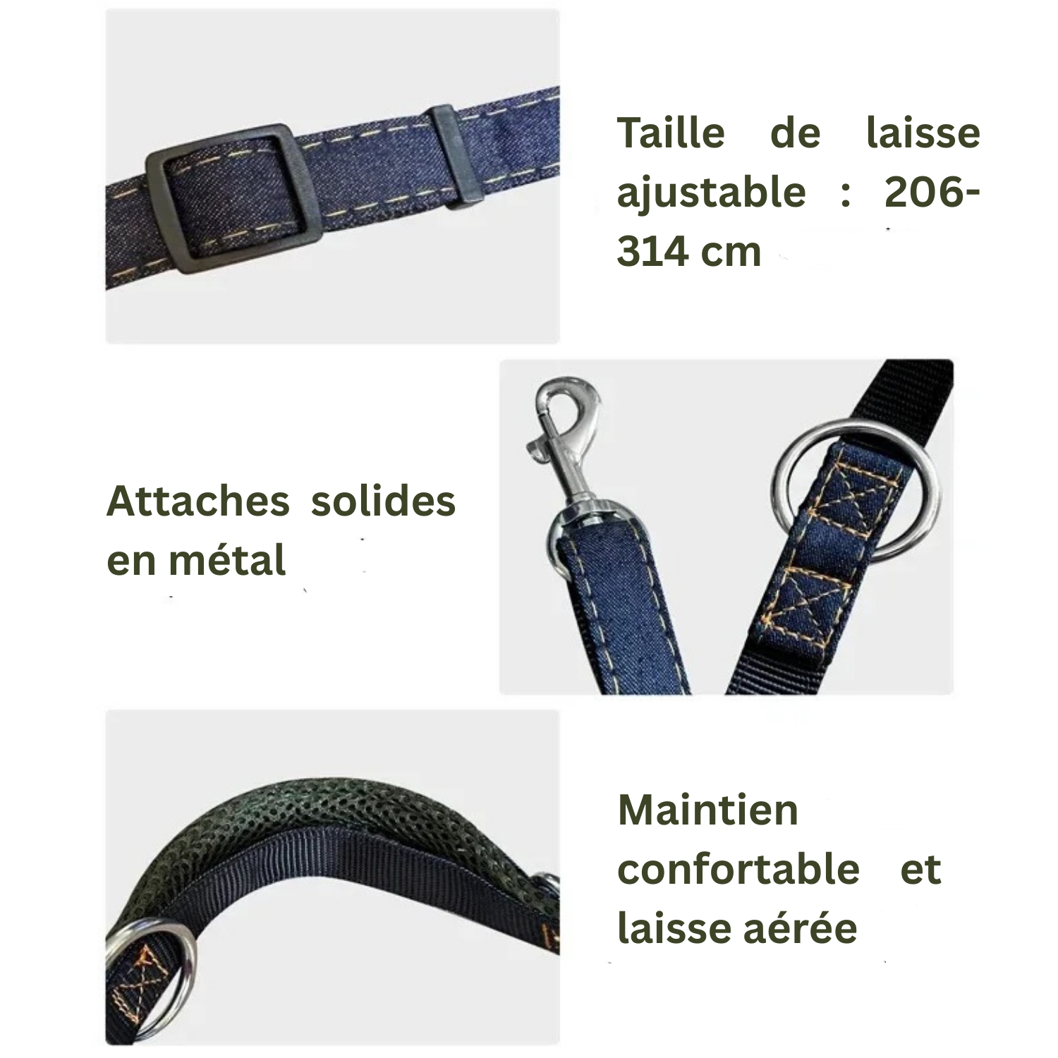 Laisse pour chien bleue avec attaches métalliques solides et poignée rembourrée respirante.