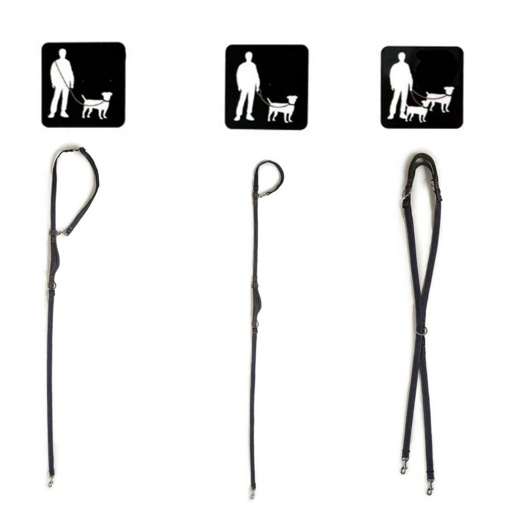 Ensemble laisse double noire avec collier pour chien, sans gamelle.