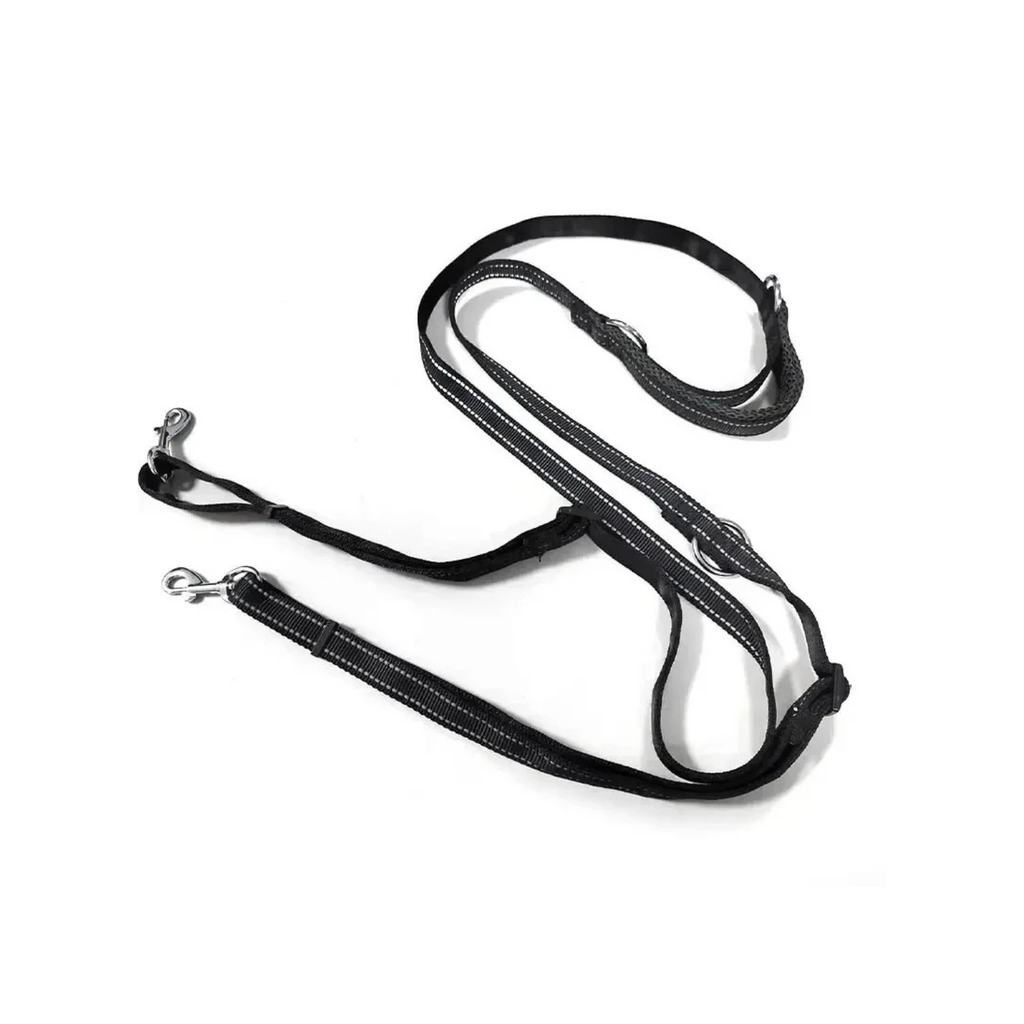 Laisse noire double en nylon pour chien avec attaches métalliques.
