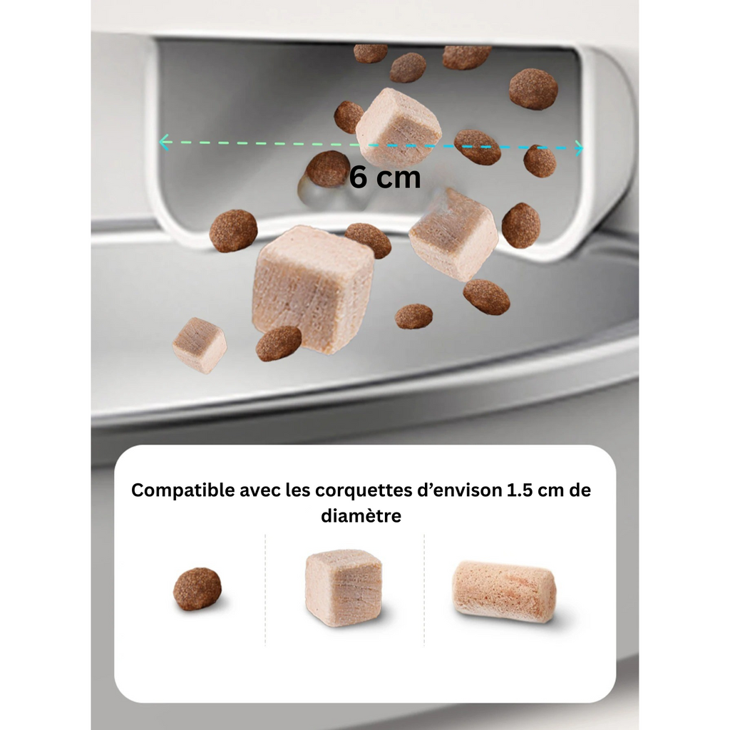 Croquettes et cubes pour distributeur, compatibles avec gamelle chien, laisse et collier.