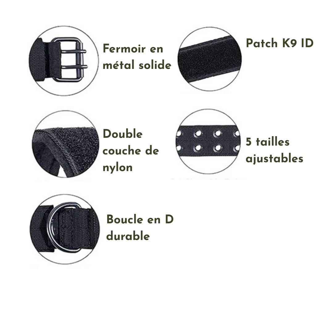 Détails du collier chien camouflage avec boucle métal, patch K9 ID et nylon double couche.