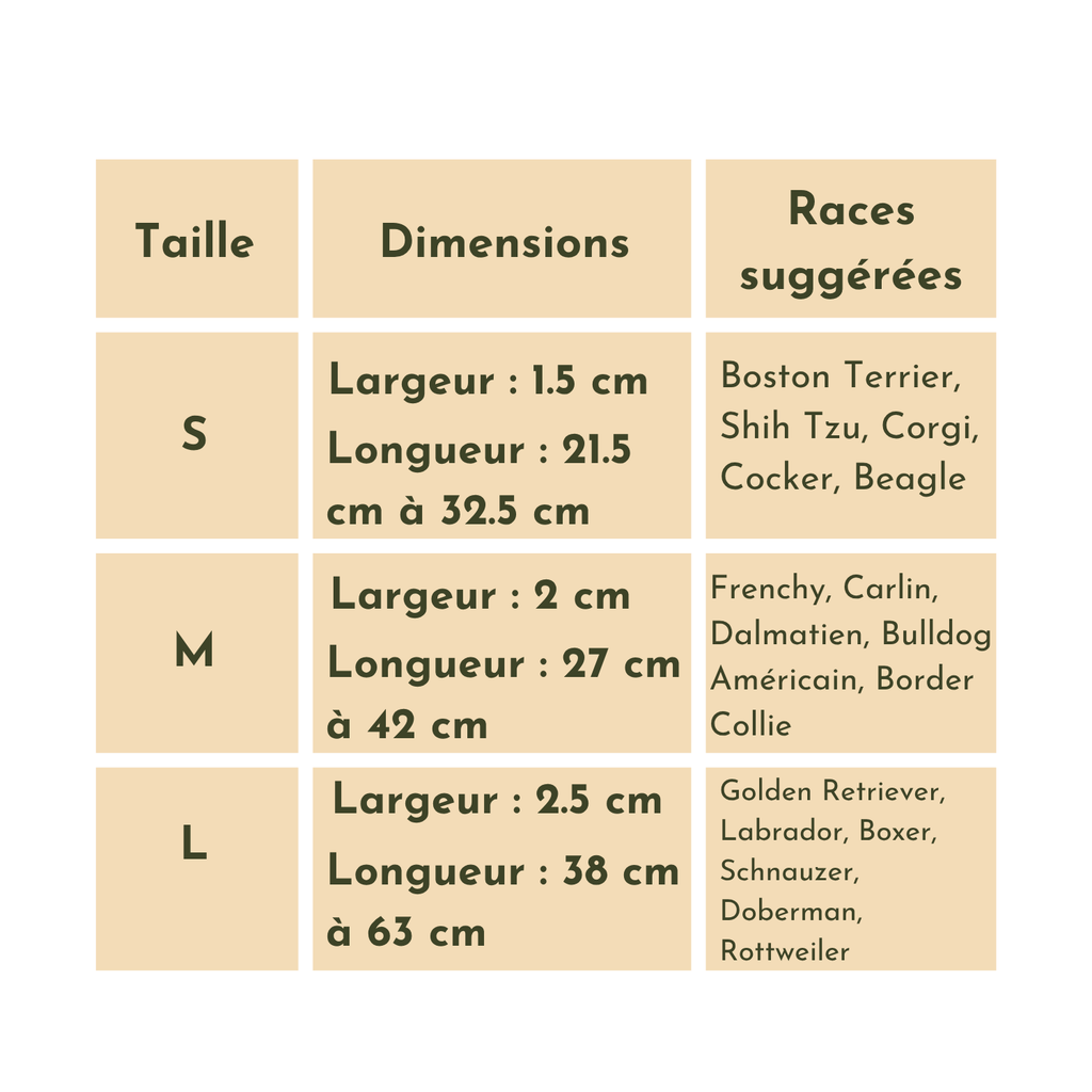 Tableau beige avec dimensions et tailles S, M, L pour collier, laisse et gamelle chien.