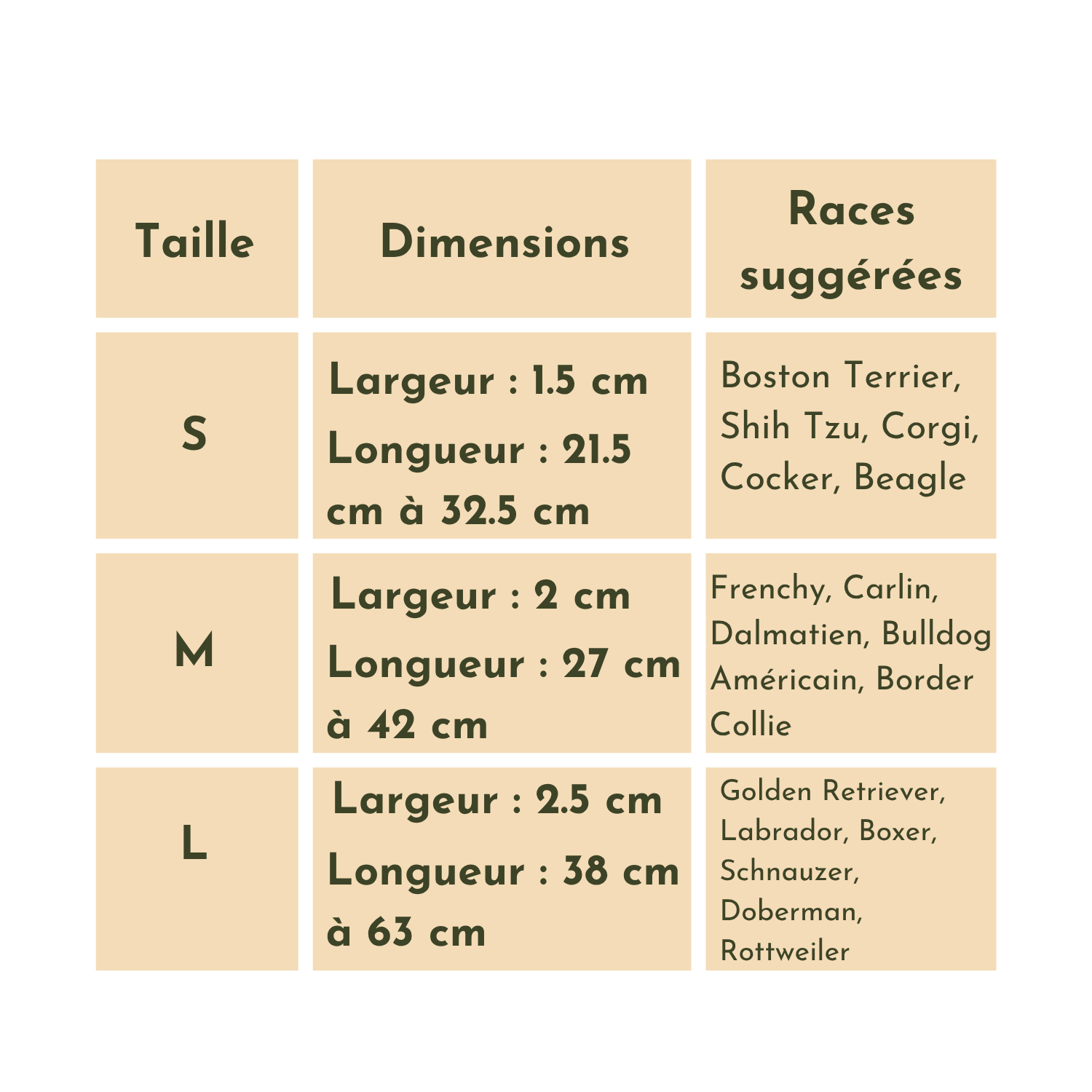 Tableau beige avec dimensions et tailles S, M, L pour collier, laisse et gamelle chien.