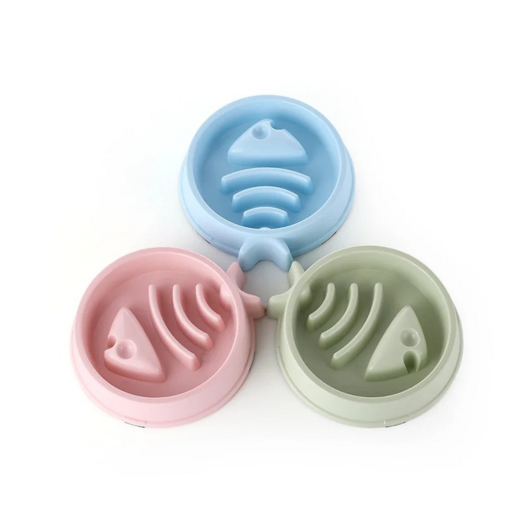 Gamelle anti-glouton bleu, rose et vert pour chien avec collier et laisse assortis.