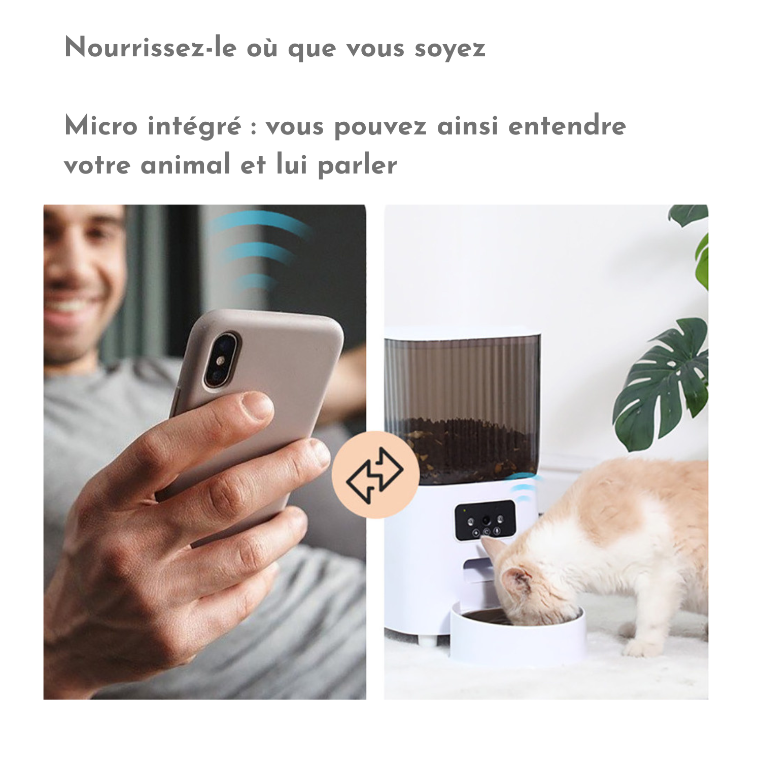 Distributeur de croquettes blanc avec gamelle double, chat mangeant, interface caméra visible, laisse et collier absents.