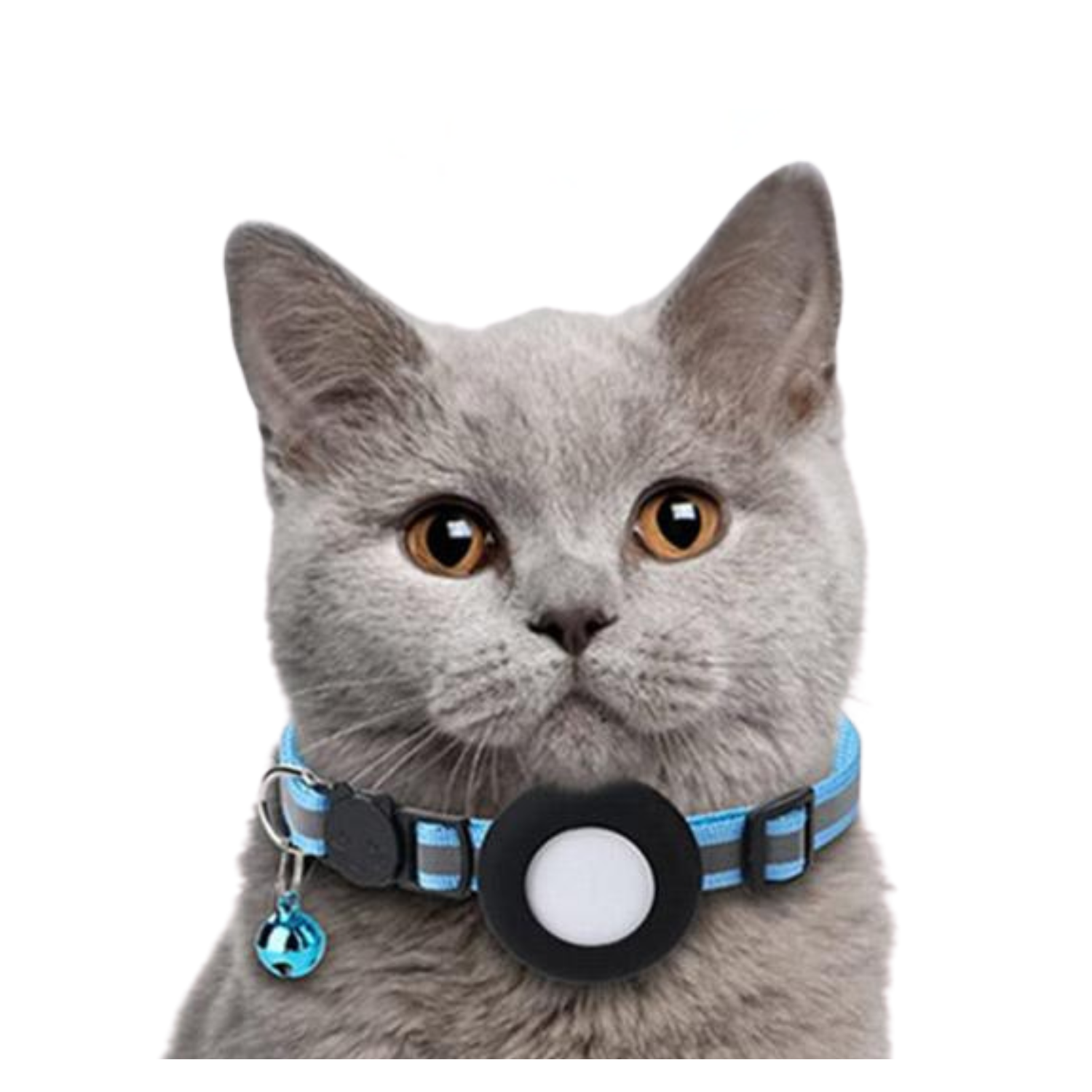 Collier bleu réfléchissant avec porte AirTag et clochette pour chat, laisse intégrée.
