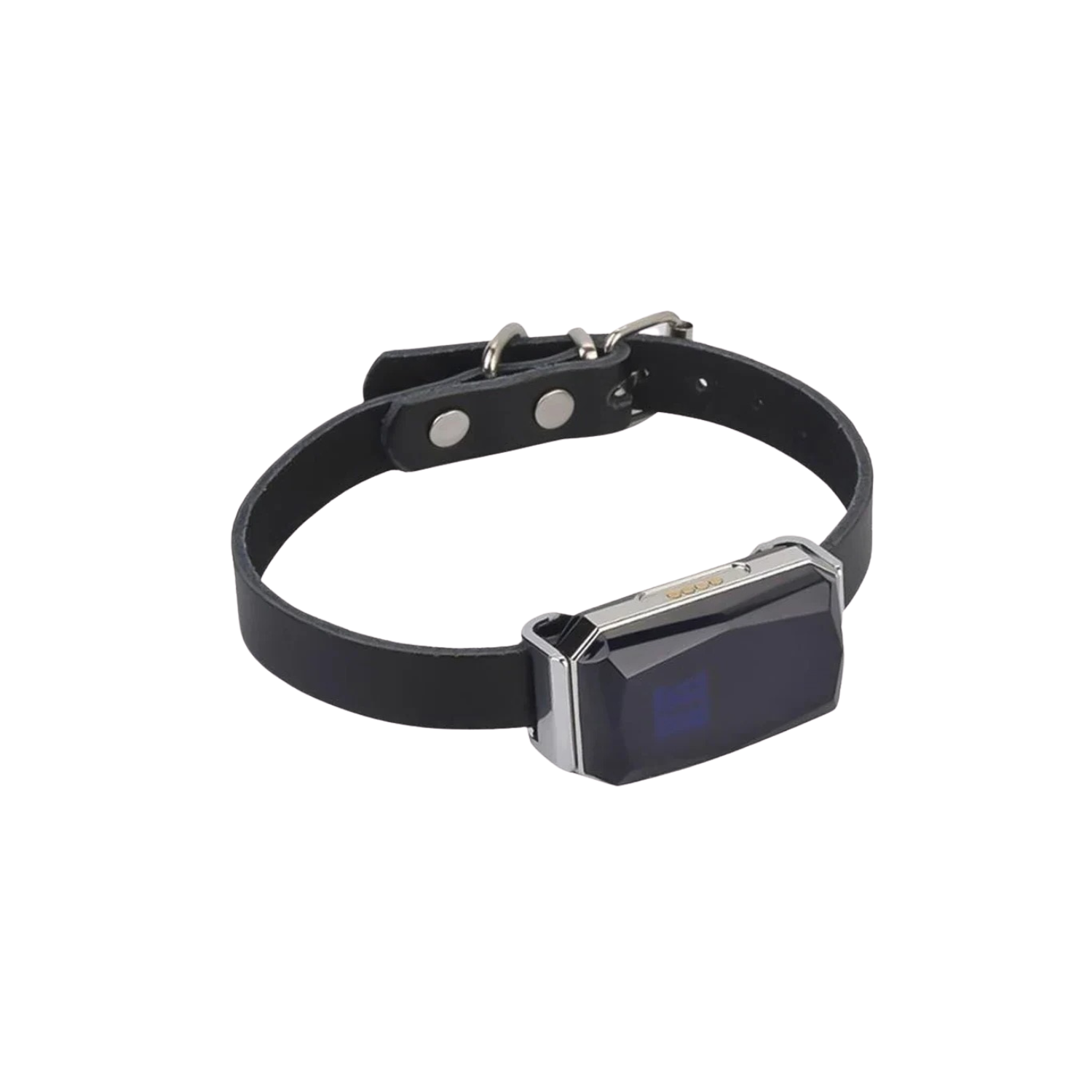 Collier GPS noir avec boîtier électronique pour chien, style moderne.