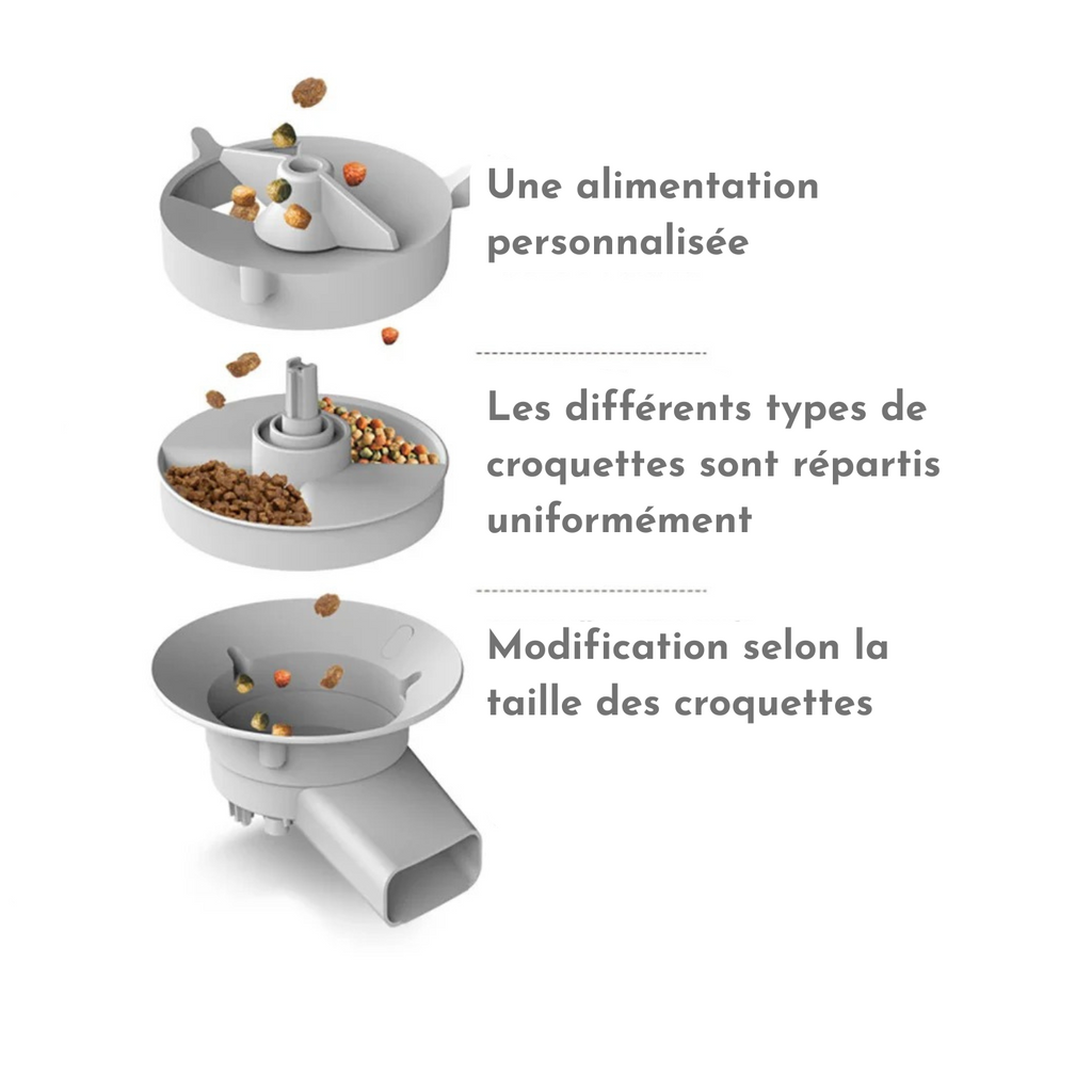 Distributeur de croquettes avec gamelle double pour chien, laisse et collier non visibles.