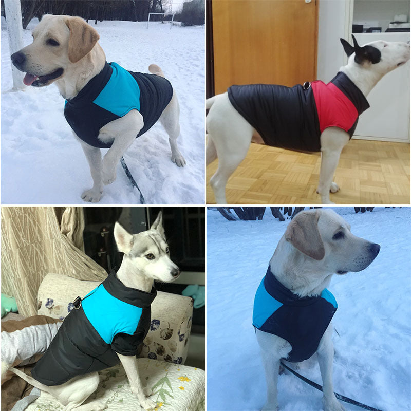Manteau pour chien - Blue Line