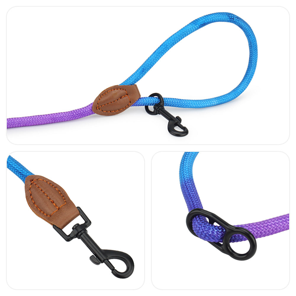 Laisse double dégradé bleu et violet avec mousqueton noir pour chien.