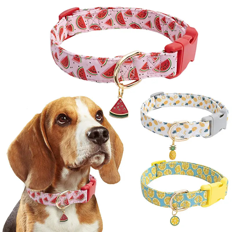 Collier chien motif pastèque rose avec boucle rouge, laisse et gamelle assorties visibles.