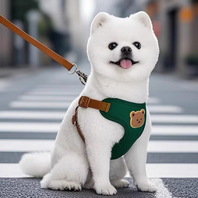 Harnais chien - Green Bear