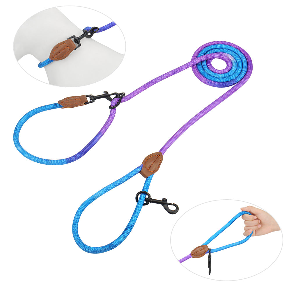 Laisse double dégradée bleu et violet avec mousquetons pour chien.