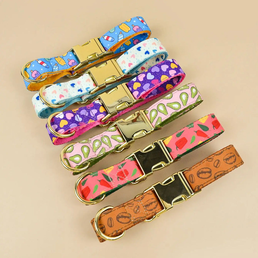 Colliers pour chien colorés avec boucles métalliques dorées, motifs variés et lanières solides.