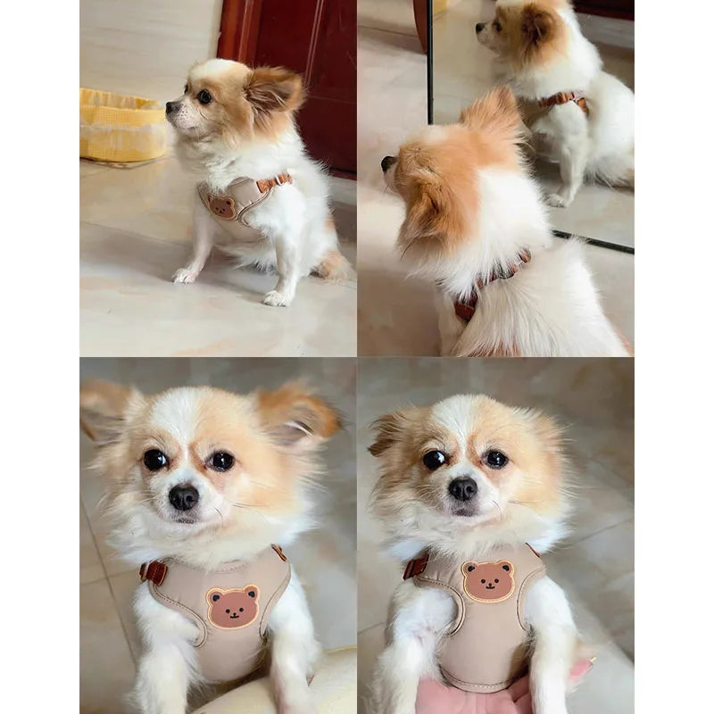 Harnais chien - Beige Bear