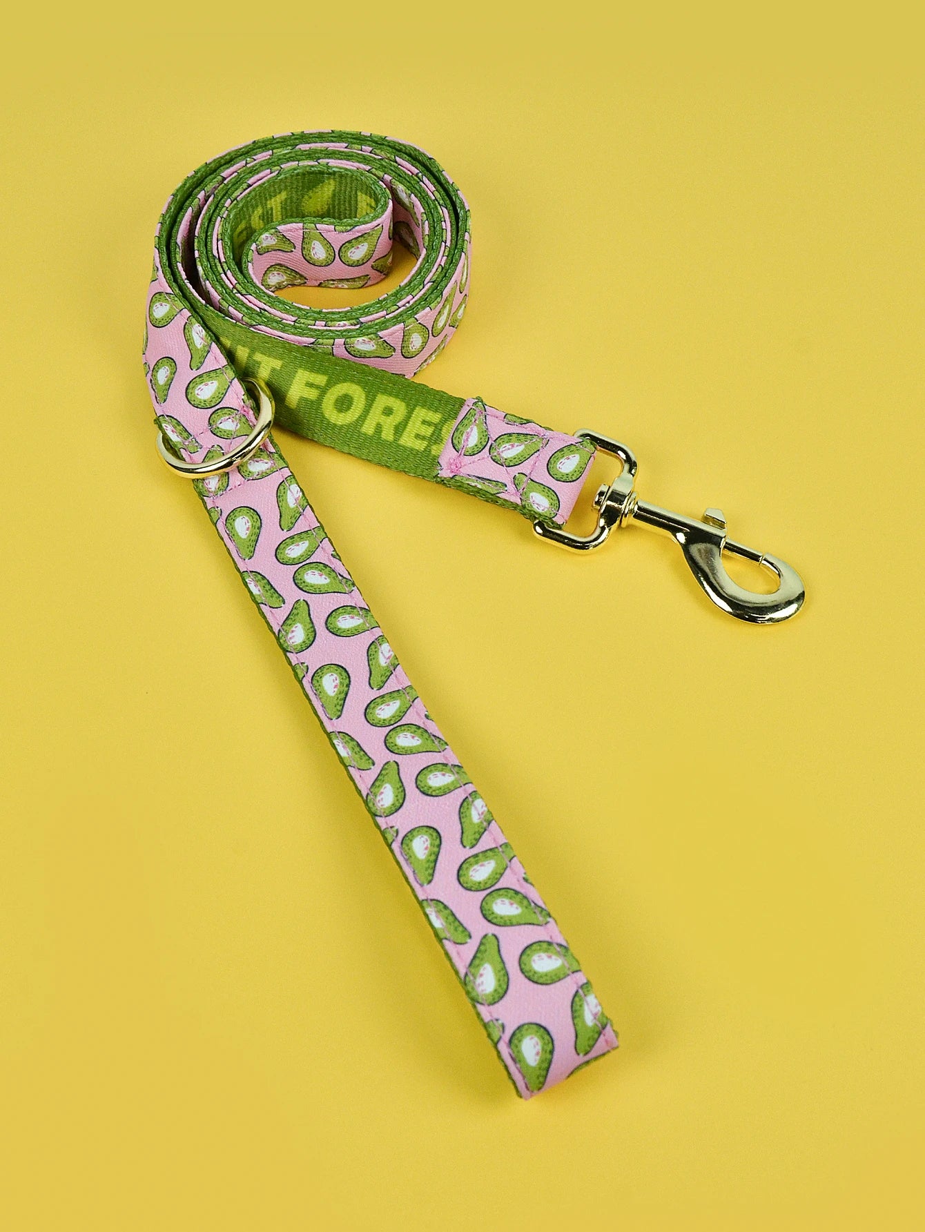 Laisse chien en corde motif avocat vert avec clip métallique argenté.