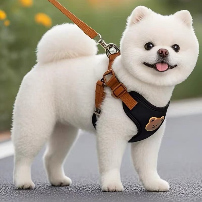 Harnais chien - Black Bear